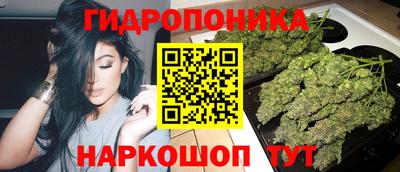 эйфоретик Лесной