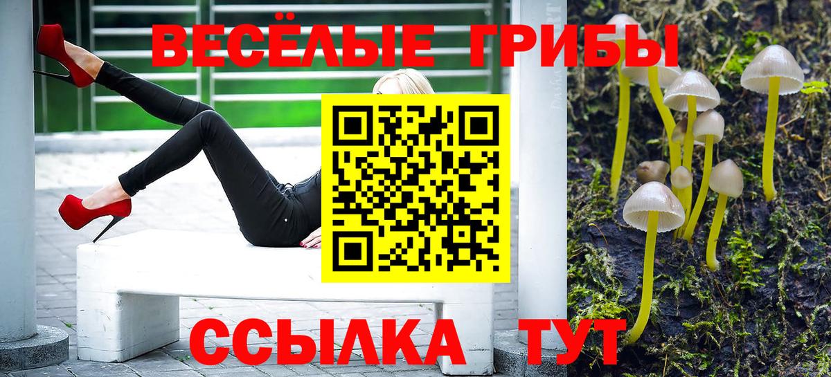 Галлюциногенные грибы прущие грибы  Галлюциногенные грибы Magic Shrooms  Вход с VPN  Аргун 