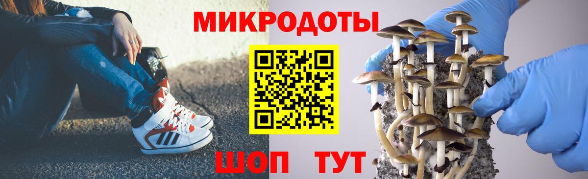 Псилоцибиновые грибы прущие грибы Аргун